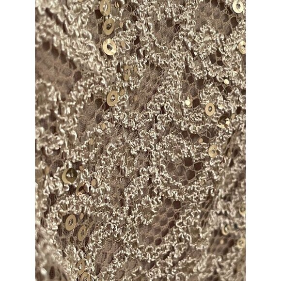 R&M Richards Petite 14P‎ Lace Sequin Dress - Taupe Sleeveless Made In USA - Picture 5 of 16